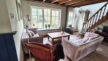 Télévision, cheminée, lecteur de DVD, livres