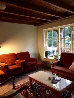 TV, lareira, DVD player, livros