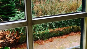 Vista a través de una ventana de una zona boscosa con un camino pavimentado y un seto.