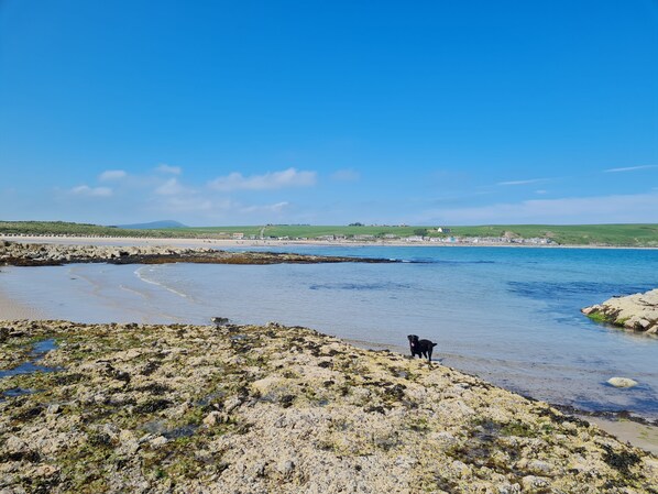 A coastal landscape with rocky terrain and a dog on the shore.