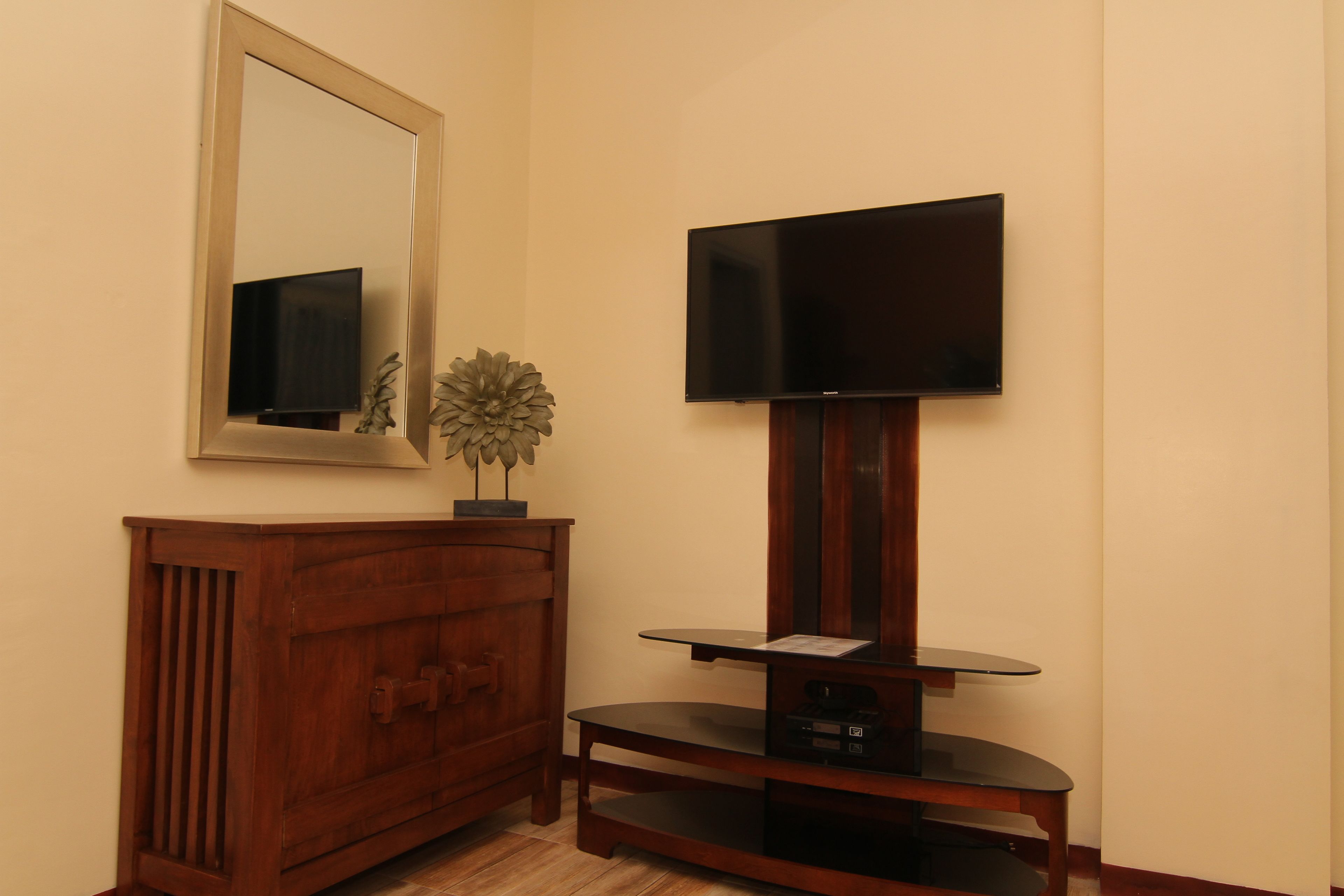 TV