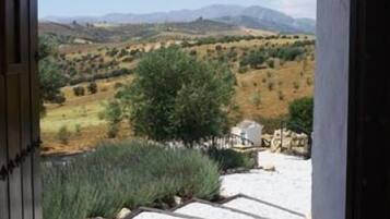 Vistas desde el alojamiento