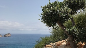 Un paisaje costero con un jardín rocoso, un árbol y vista al mar.