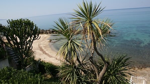 A coastal landscape with a sandy beach, a cactus, and a clear view of the sea. - Villa Laura PT - directly by the sea (Pizzo)