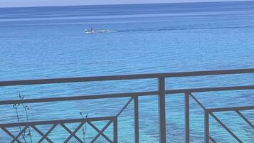 Vista dalla struttura