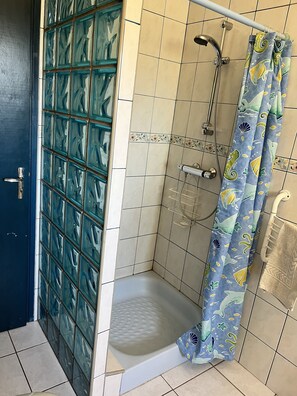 Combined shower/tub, hair dryer, bidet, towels