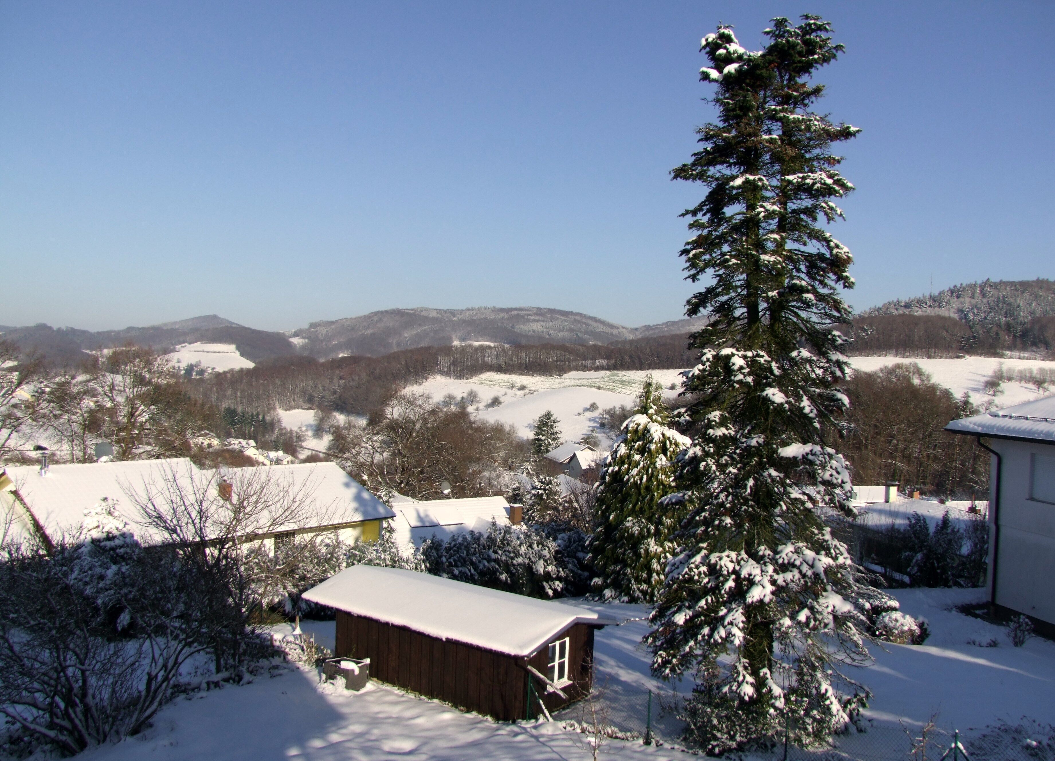 A snow-covered landscape with a wooden cabin, a tall coniferous tree, and distant hills.