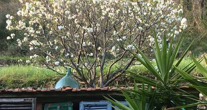 Historic house lovingly furnished in original vintage style