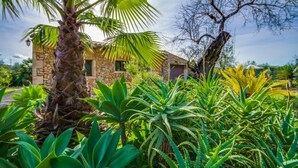 Uma casa de pedra rodeada por vegetação exuberante, incluindo palmeiras e diversas plantas.