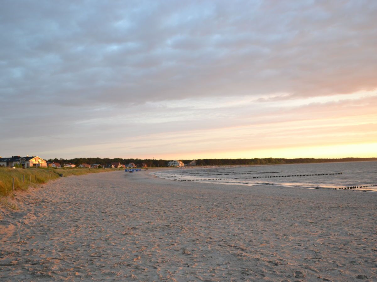 A sandy beach with a row of houses in the background.