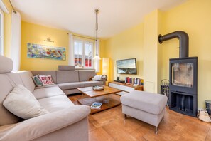 Een televisie, een open haard, een dvd-speler en boeken