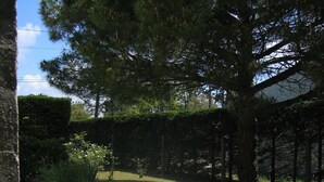 Une terrasse dallée, ornée d’un motif géométrique, entourée d’une pelouse bien entretenue et de grands arbres.