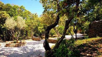 Terrein van de accommodatie