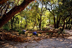 المنطقة المحيطة بالمنشأة