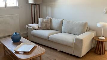 Télévision, lecteur de DVD, livres, chaßne hi-fi