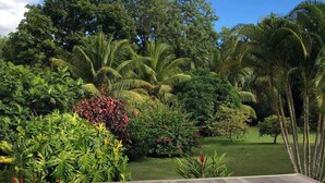 A swimming pool with a wooden deck, surrounded by lush tropical vegetation and trees. - bungalow the box lace (Le diamant)
