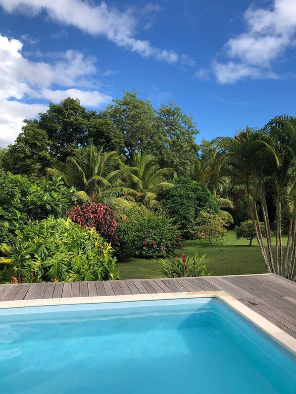A swimming pool with a wooden deck, surrounded by lush tropical vegetation and trees.