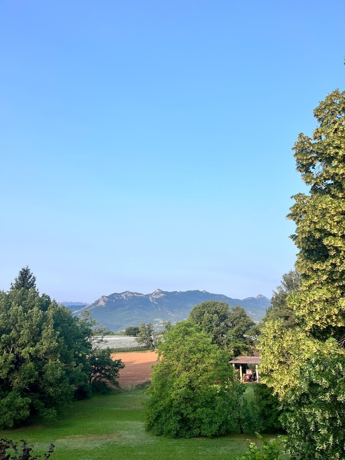 A rural landscape with a clear sky, a grassy field, and trees.