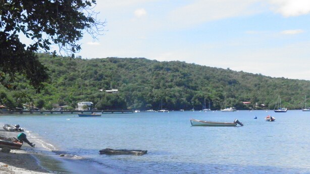 A beach with boats, a sandy shore, and a forested hill in the background.