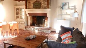 TV, fireplace, books