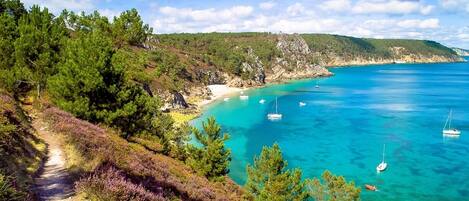 Accommodatie ligt op het strand