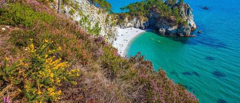 Accommodatie ligt op het strand