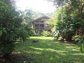 Una casa rustica circondata da rigogliosa vegetazione.