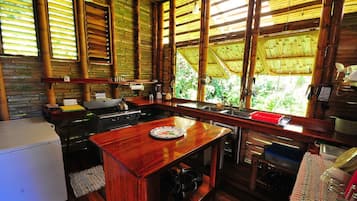 Fridge, oven, stovetop, coffee/tea maker