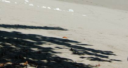 Casa Piña,  Bamboo Rainforest Beach House