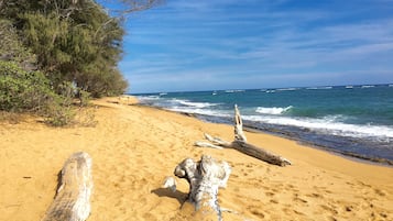 Plage à proximité, chaises longues, serviettes de plage
