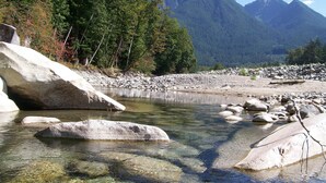 A clear mountain stream with large rocks and trees.