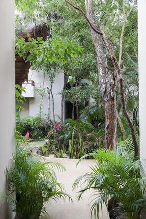 Terrein van de accommodatie