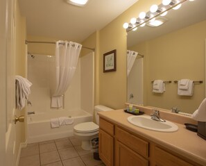 Bidet - The Falls Village™ - Studio (Branson)