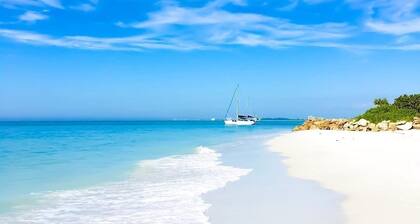 Less than 3 Miles to Siesta Key Beach! NO pet fee!