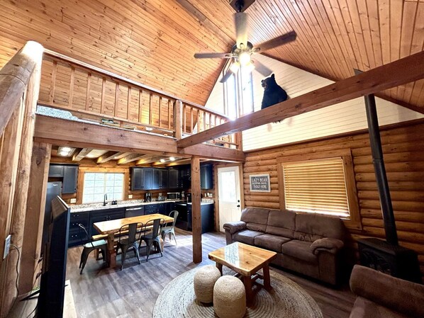 Smart TV, fireplace, DVD player, books