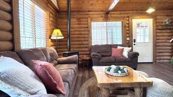 Smart TV, fireplace, DVD player, books