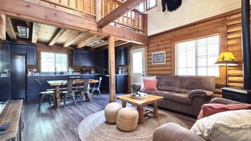 Smart TV, fireplace, DVD player, books