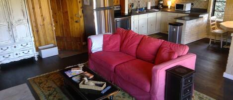 Smart-TV, Kamin, Videospiele, Bücher