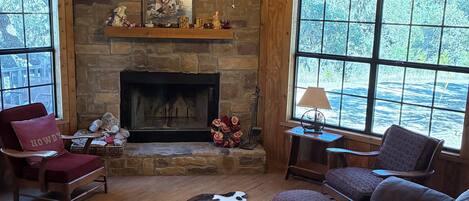 Televisión, chimenea, reproductor de DVD y libros