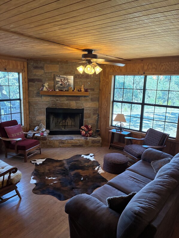 TV, fireplace, DVD player, books