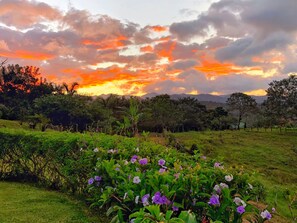 Property grounds - Luxury Home overlooks Arenal Volcano & Lake Arenal & Ceiba Tree (El Castillo de La Fortuna)