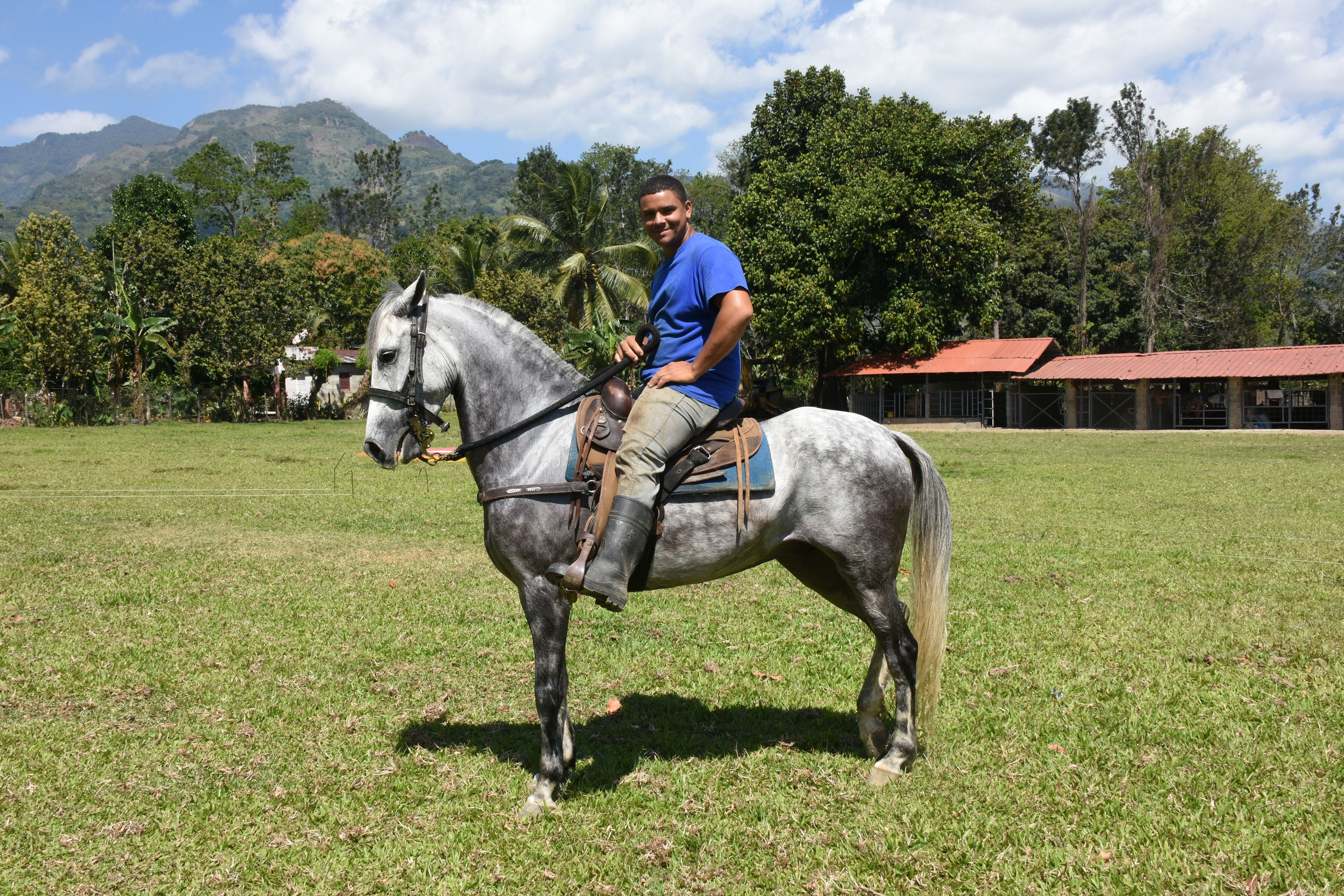 A person riding a horse in a grassy field with a building in the background.