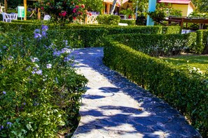 Un vialetto in pietra in un giardino curato, con siepi ordinate e piante fiorite.