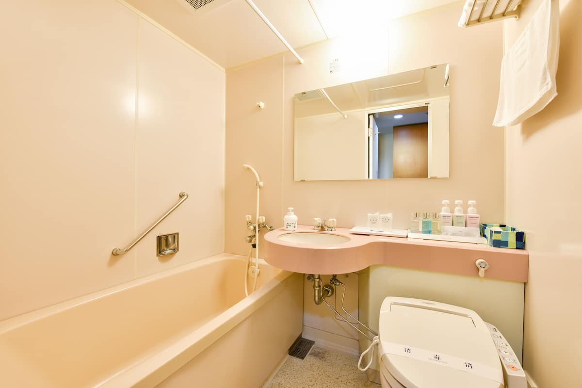 free toiletries, hair dryer, slippers, electronic bidet