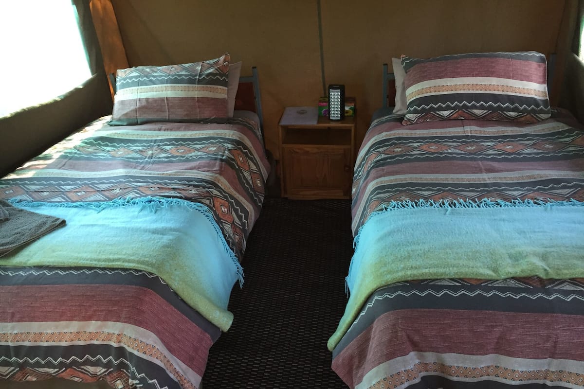A room with two beds, each with patterned bedding and pillows. There is a nightstand with a remote control and a lamp between the beds.
