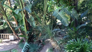 A garden with various plants, including large banana leaves and a palm tree. - Noraclox Riverclub (Sandton)