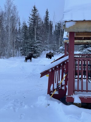 ด้านหน้าที่พัก