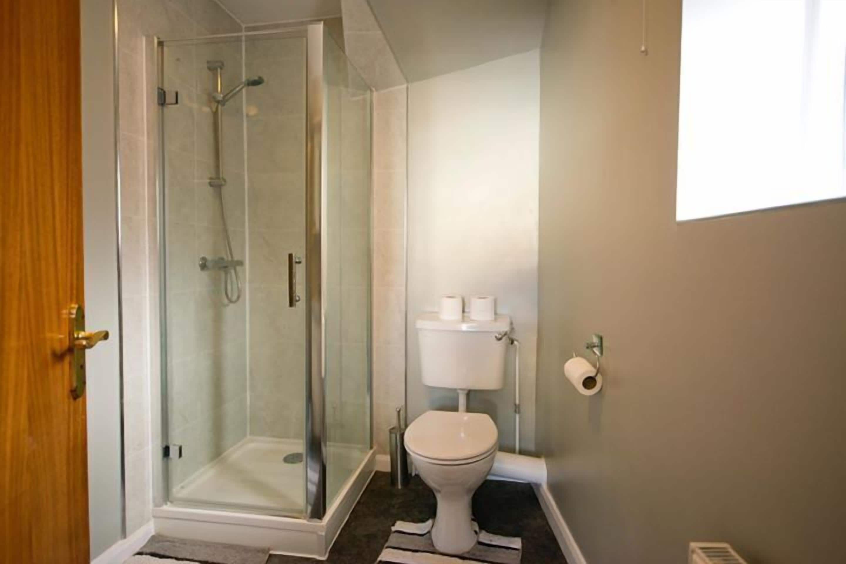 A bathroom with a glass-enclosed shower, a toilet, and a wooden door.