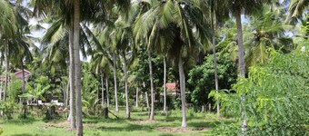 Marawila Residence