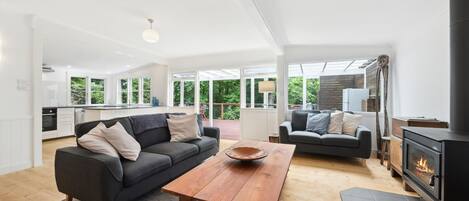 Smart TV, fireplace, DVD player, books